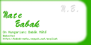 mate babak business card