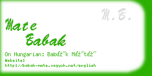 mate babak business card